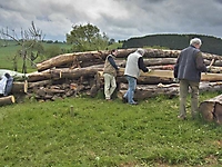 Beilarbeiten - 11