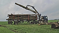 Holzlieferung - 03
