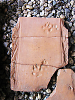 Ahrweiler 20