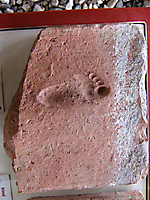 Ahrweiler 21