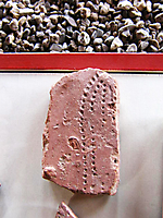 Ahrweiler 23