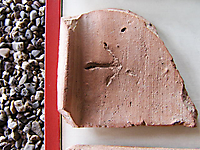 Ahrweiler 25