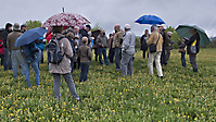 Fundstätten 06