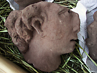 Grabung 2003_08