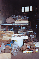 Grabung 2003_29