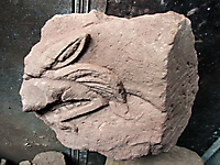 Grabung 2003_05
