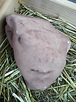 Grabung 2003_07