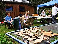 Reinigung Fundstücke 17