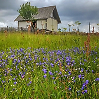 Frühsommer am Info-Punkt_1
