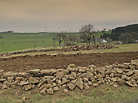 Vorbereitung 19