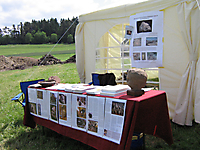 Bodenbach 24