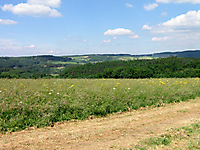 Bodenbach 23