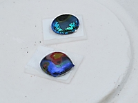 Vereinsfest 2013 - 24