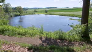 Eichholzmaar
