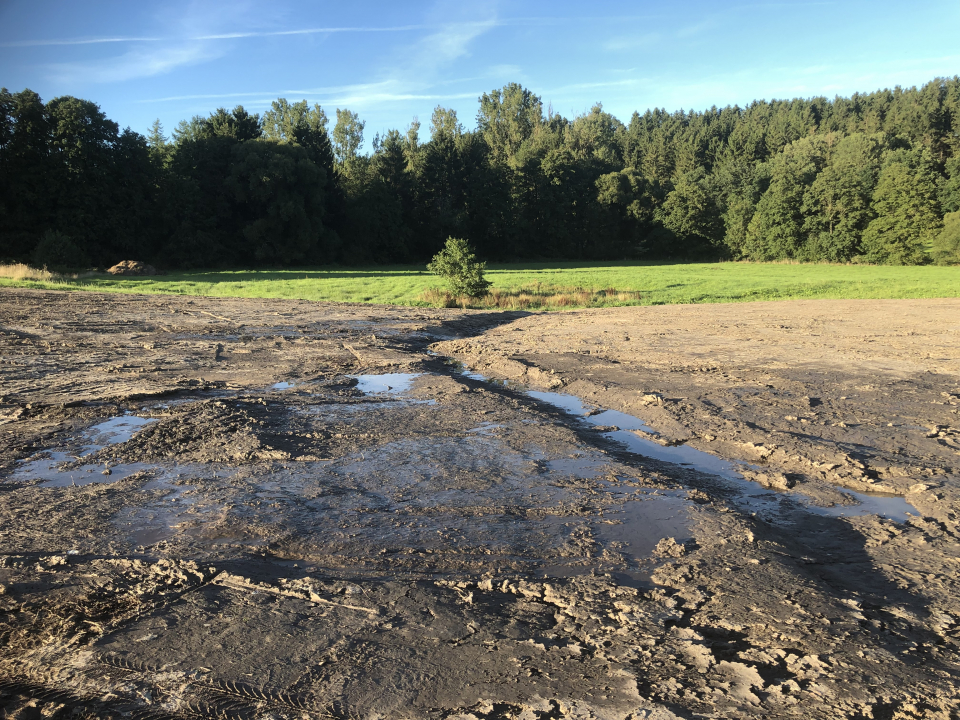 Die wieder verschlossene Grabungsfläche nach Beendigung der Grabungskampagne